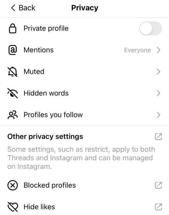 صفحه حریم خصوصی در برنامه Threads، شامل گزینه ای برای کلمات پنهان.